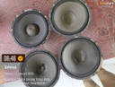 Speaker 10 Inch Fullrange Corong